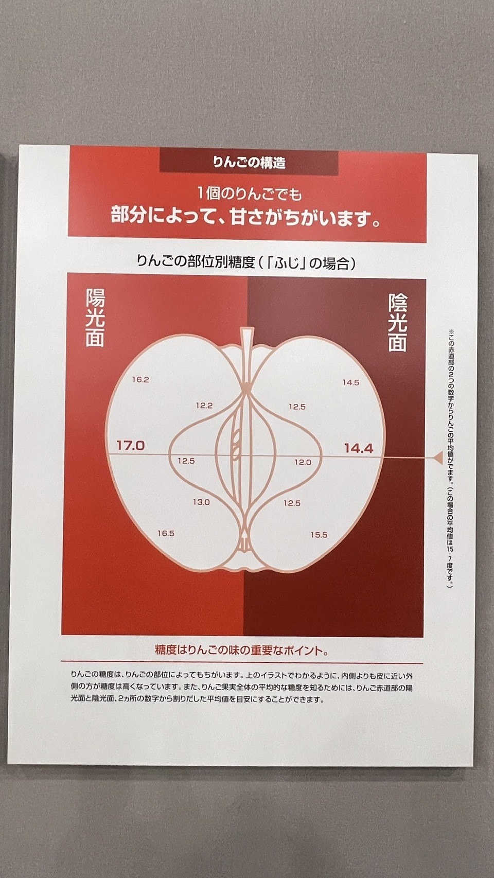 日本青森蘋果糖度知識展示